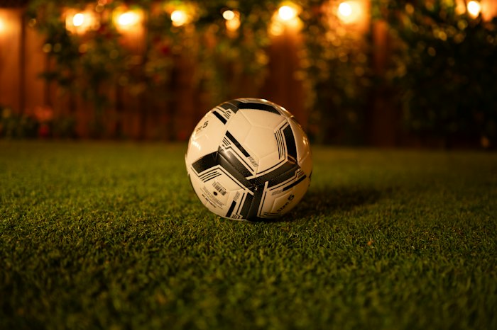 Backyard turf lit by string lights