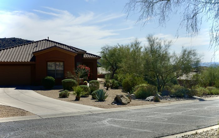 Concrete driveway with low-water landscaping